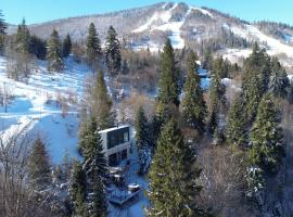 Forest Hub, ξενοδοχείο σε Slavske