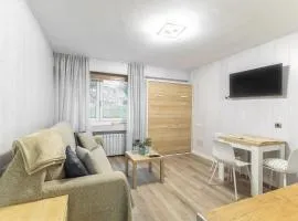 Loft Relajante Est esquí La Pinilla