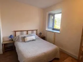 Appartement au centre d'un joli village Alpin