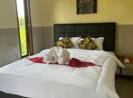 Wayan Bola Homestay