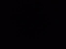 Homestay, hotel v destinaci Dublin