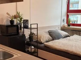 Apartmán v centre Dubnice nad Váhom