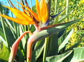 Chambres d'Hôtes La Casa Losa, hotel a Esposende