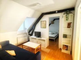 cozy and bright 2 room apartment heart of Pau everything on foot