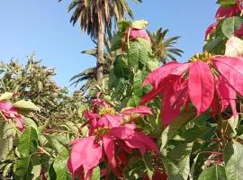 Finca Las Tapias, Glorieta