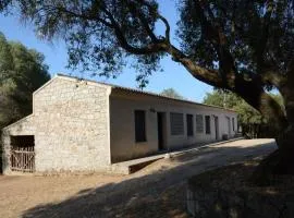 Stazzu Spadulagliu near Olbia