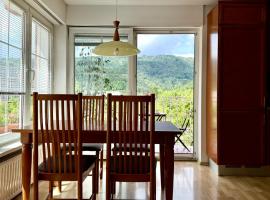 Apartments Žnidar, three-star hotel in Spodnje Gorje