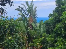 Wooden Townhouse close to Ramsgate Beach Basisha