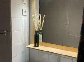 Chambre avec Sauna secteur Centre Ville