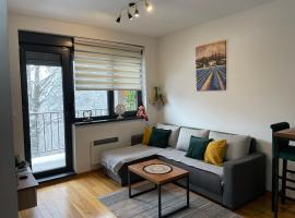 Zlatni Bor Apartment、ズラティボールのホテル