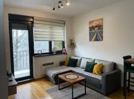 Zlatni Bor Apartment