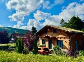 Harz - Blockhaus, 4 und 5 Sterne Blockhäuser, Sauna und Kamin, RH