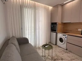 Matisse No26 - One Bedroom Apartment With Parking