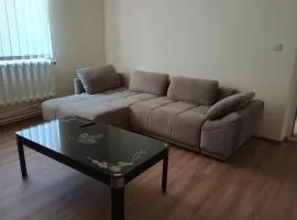 La Căsuța Racosana -Casa Spațioasă cu Grădina și Terasa și Gastro Local aproape