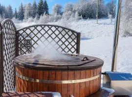 Domov na horách - Krkonoše - horký sud, pergola, dětské hřiště - celý dům