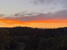 The Wandering Doe Readers Retreat with Hot Tub, hotel in Long Valley Junction