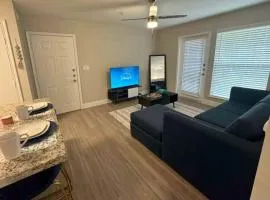 Airy 1 Bed 1 Bath Walk to NRG near Med Center