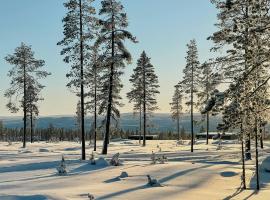 Modern Cabin With Ski In Ski Out In Idre Himmelfjäll，伊德里弗傑爾的飯店