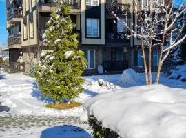 Божурленд Студио А-4-1