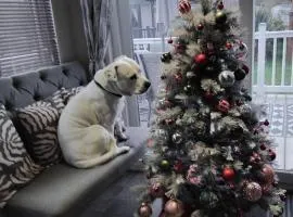 Sea Breeze, Luxury Lodge, Parkdean Resort Southview, Skegness, Dog Friendly - East Coast Holidays