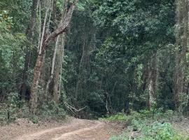 Sítio da Sara com água mineral, rio e muito verde, hotel v destinaci Rio Bonito