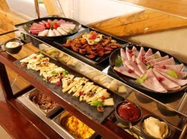 Staff Guest House, hotel in Nyíregyháza