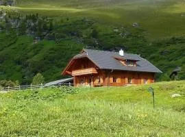Falkertsee, Chalet PANORAMA Pistenlage-und am See bis 11 Personen
