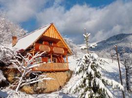 Садиба Ярок на 10 осіб баня манга дрова входять у вартість також неподалік є чан, khách sạn ở Vyshka