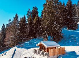 The Forest House，位于La Comballaz的山林小屋