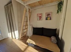 Duplex studio