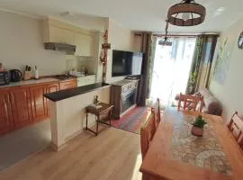 Alojamiento Villarrica