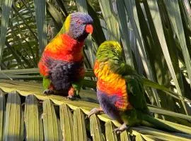 Palm Beach Bed & Breakfast