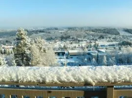 Trysil turistesenter hytte