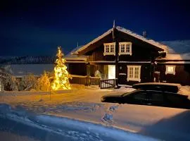 Lovely Home In Aurdal With Sauna