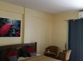 The Sunshine hostel and hotel