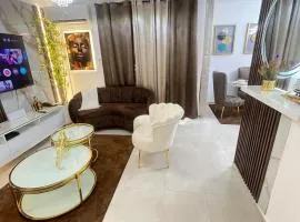 Stylish Luxe Apartment 10 mn to the Int Airport