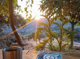 GP Cortijo Palmera - Cortijo de las Chozas