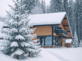 Poiana Brazilor, ξενοδοχείο σε Poiana Negrii