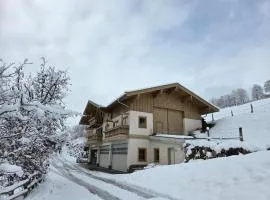 Apartment in Mittersill near Kitzbühel Ski Area