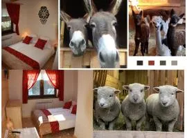 Pokoje Gościnne Jurgowianka