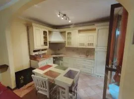 Vimodrone apartment big garden