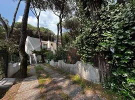 Cozy apartment in the heart of the pinewood
