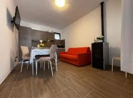 Cozy apartment in the heart of the pinewood