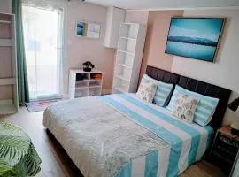 Studio cosy, tout équipé, WI-FI proche Clinique Saint-Pierre