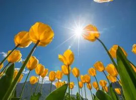 Chalet With Private Whirlpool And Sauna - Happy Rentals