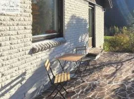 Holiday home in Bad Aussee - Steiermark 55006