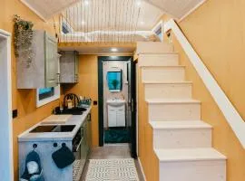 Dreambox South Kerry