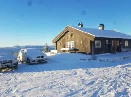 Mountain Cabin With A View Over Jotunheimen