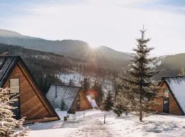 УЛІС Ворохта