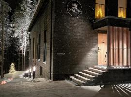 Arctic Design Villa Levi，位于列维的带热水浴缸的酒店
